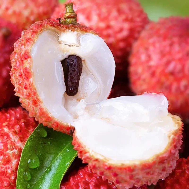 顺丰京东 广东茂名桂味荔枝3/4.5斤新鲜当季水果香甜多汁分仓发货