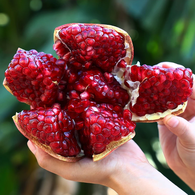 【自然搭档】四川会理软籽石榴3斤/5斤新鲜当季水果鲜甜多汁多仓发