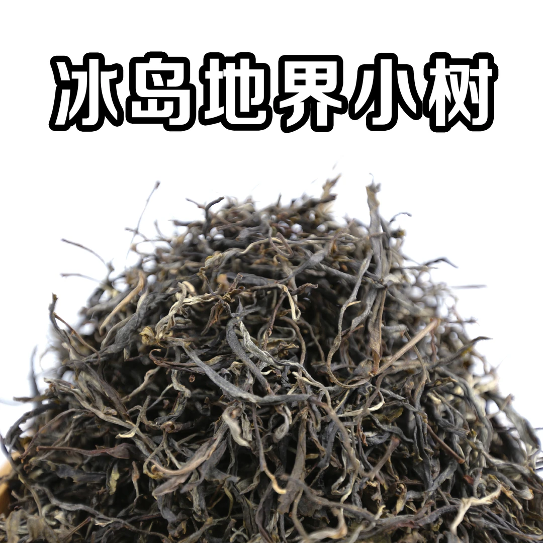 深山寻味记冰岛地界中小树秋茶散茶 2023年 汤水柔甜 冰糖韵十足