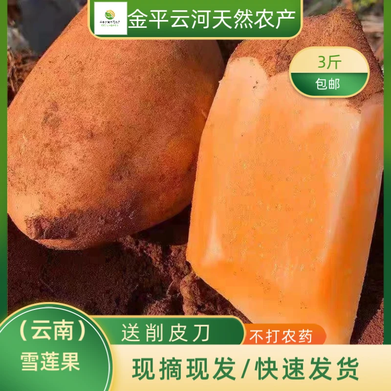 云南雪莲果应季新鲜水果黄心红心清甜多汁当季整箱包邮