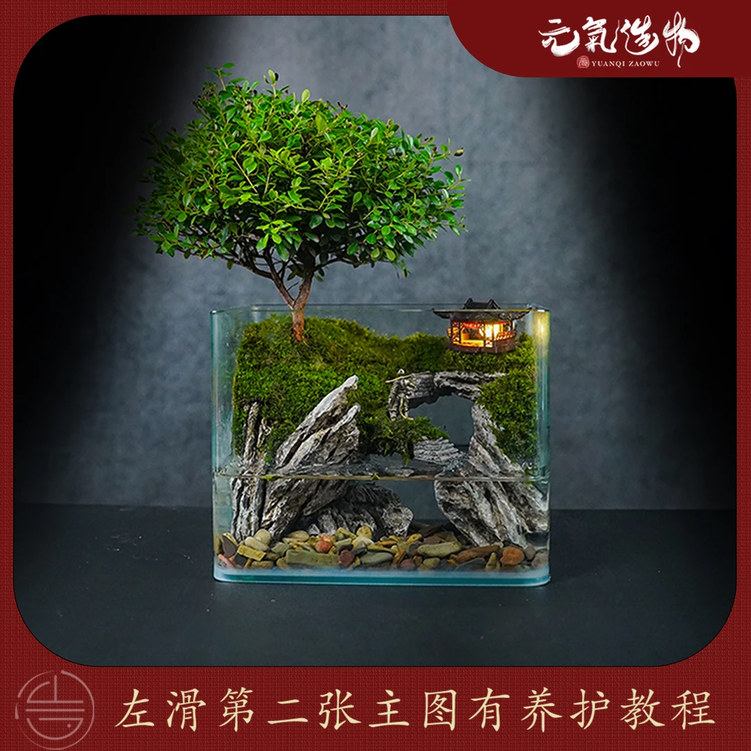 【国风山水】观音禅院—小叶赤楠真石头真绿植成品【尺寸:20*14*16】