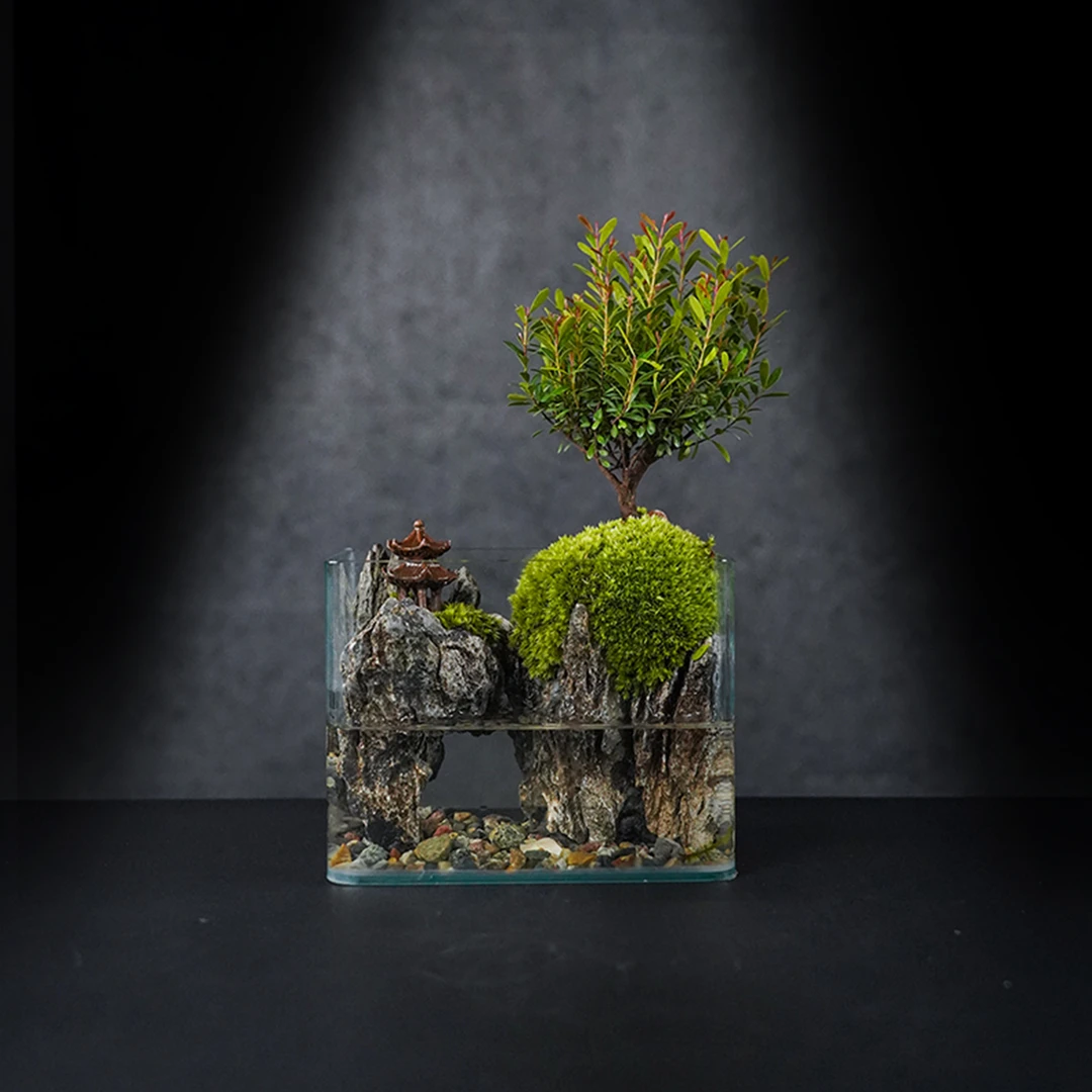 【叁七专属】云亭—小叶赤楠中式国风真植物真石头造景-尺寸18×12×14