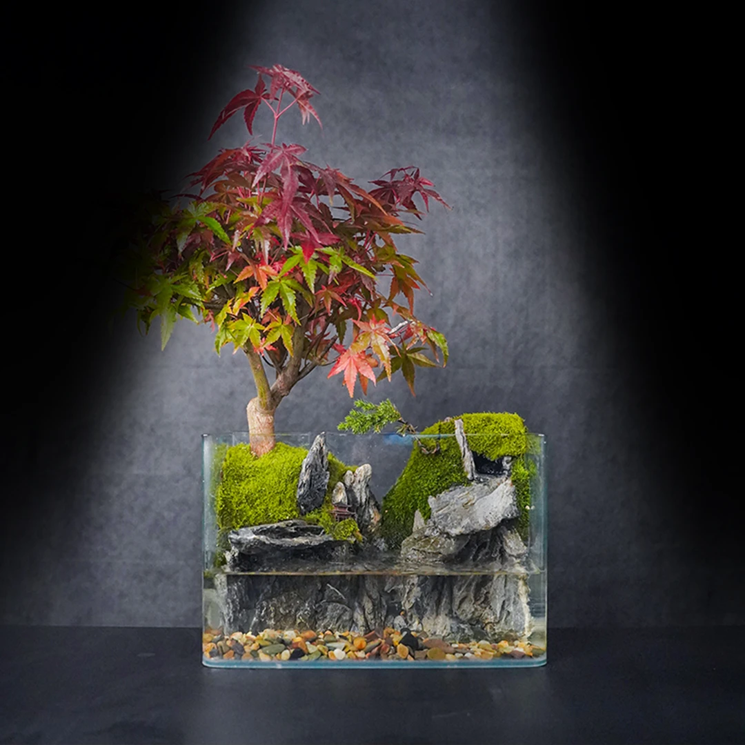 （国风山水）红舞姬—红舞姬国风纯手工制作真植物真石头微景观实拍