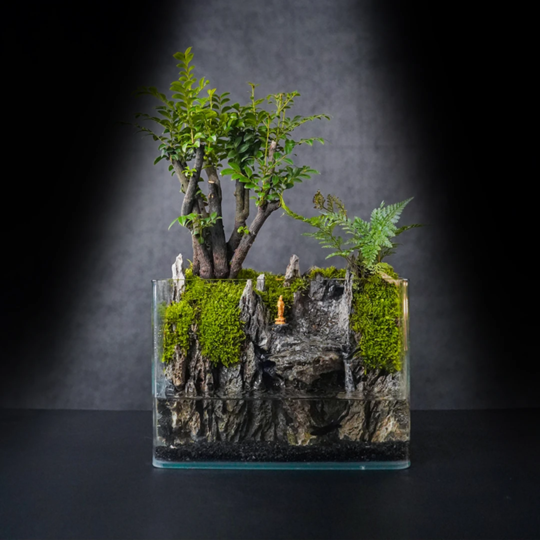 (国风山水)蓬莱-观—小叶紫檀中式国风真植物真石头实拍