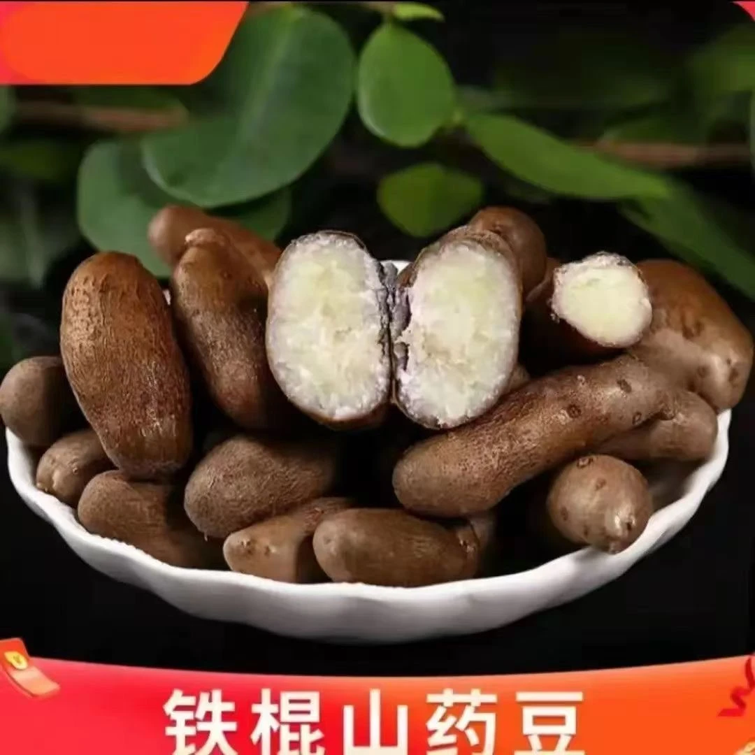 正宗2024新鲜铁棍山药豆农家大果5斤可做糖葫芦
