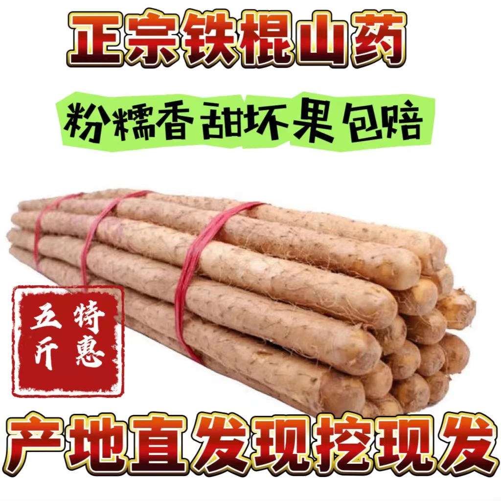 新鲜采挖垆土铁棍山药粉糯香甜营养价值高60-80五斤装精品果王