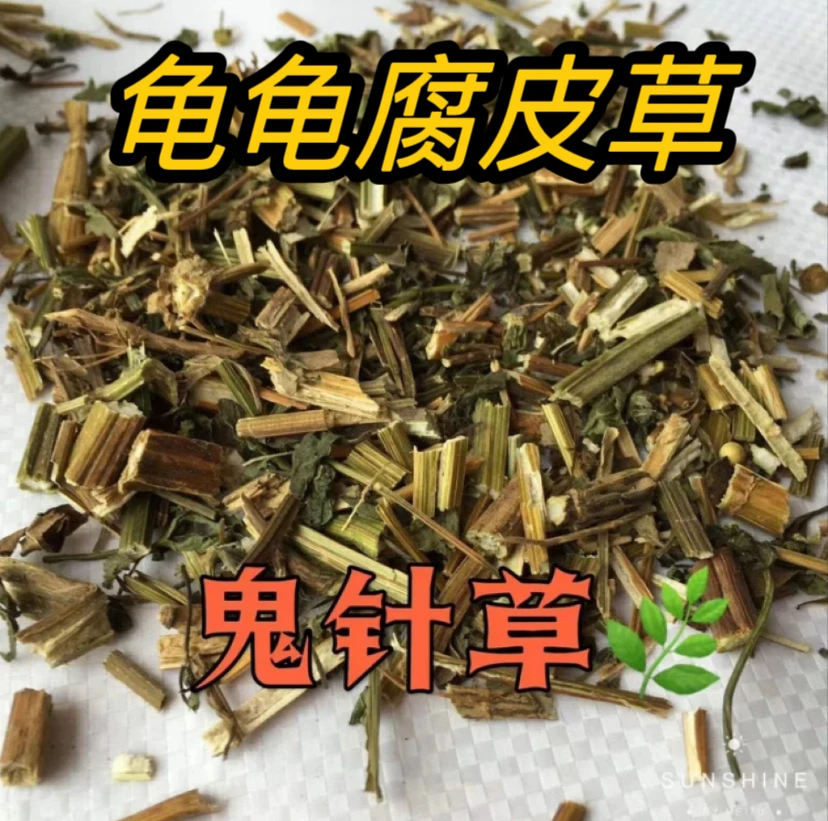 鬼针草养龟鬼针草常备乌龟腐皮草用于乌龟垫材装饰非食用