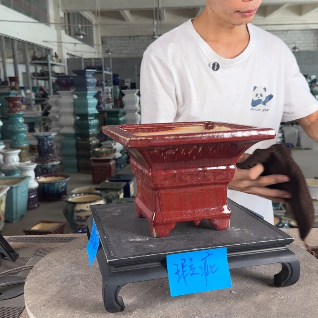 红陶20CM(含)-50CM(不含)黑**放