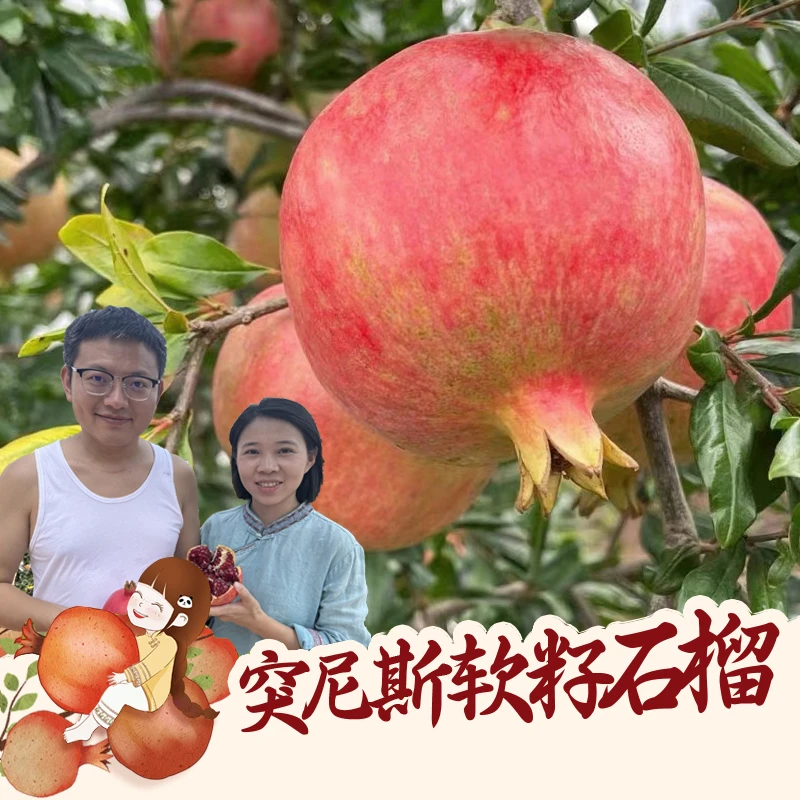 【顺丰包邮】突尼斯软籽石榴3斤新鲜水果包邮四川会理红宝石榴软籽