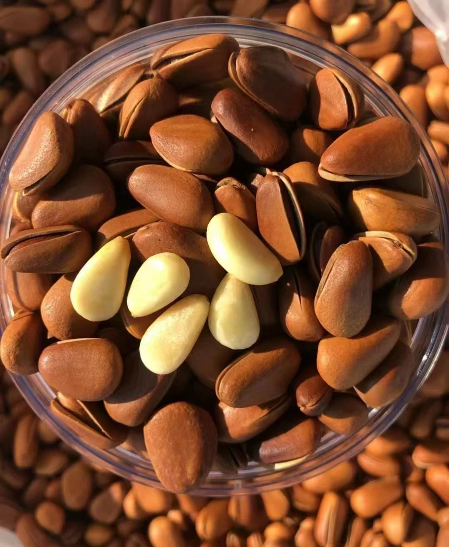 东北松子罐装开口手剥松子大颗粒坚果干果零食松仁休闲零嘴松子