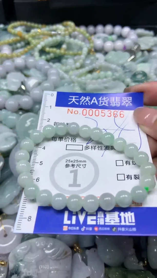 【闪购商品】翡翠颈饰未镶嵌366天然翡翠