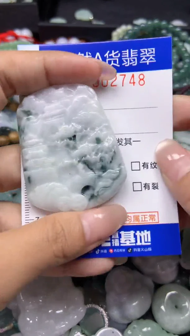 【闪购商品】翡翠颈饰未镶嵌748天然翡翠