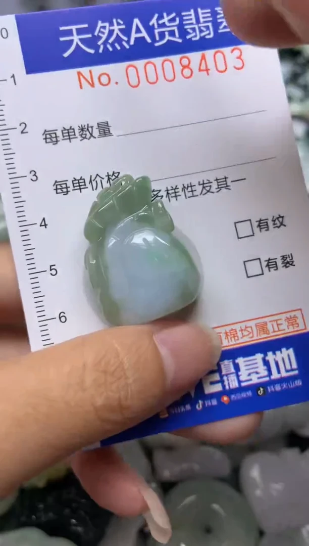 【闪购商品】翡翠颈饰未镶嵌403天然翡翠