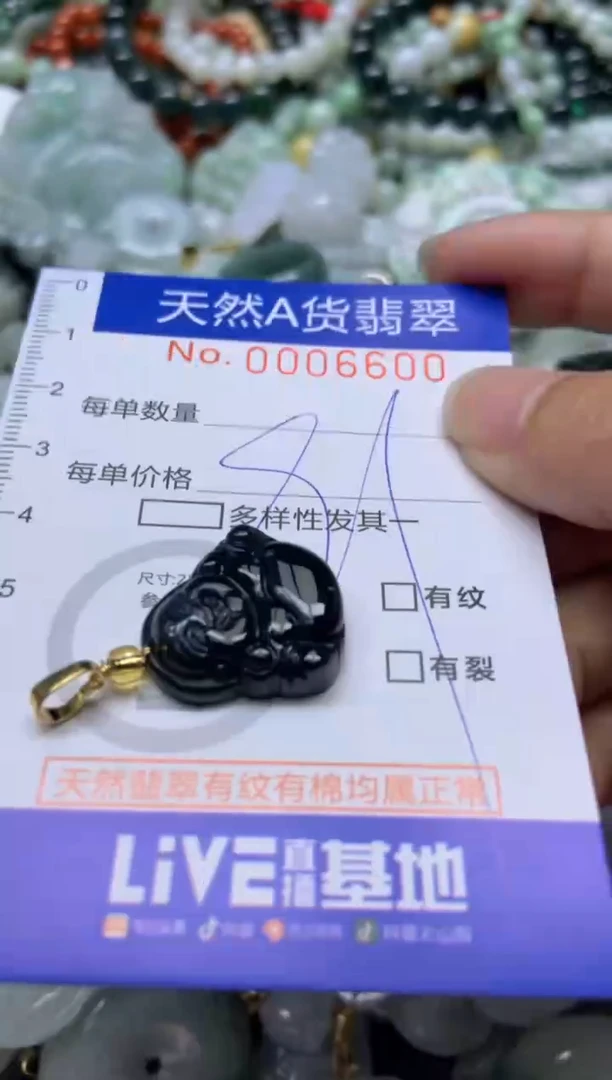 【闪购商品】翡翠颈饰未镶嵌600天然翡翠