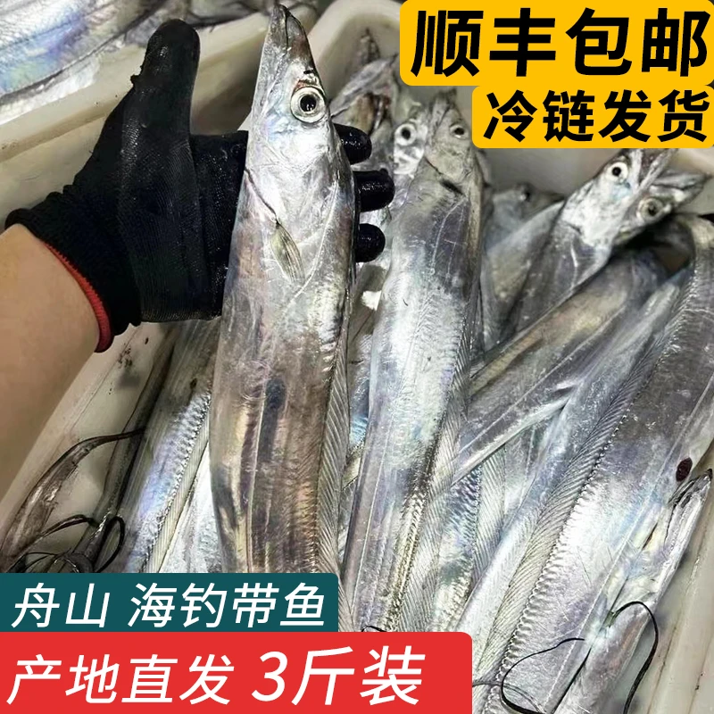 舟山宁波带鱼整条海鲜东海鲜活冷冻小眼睛海钓油带鱼非刀鱼 3斤装