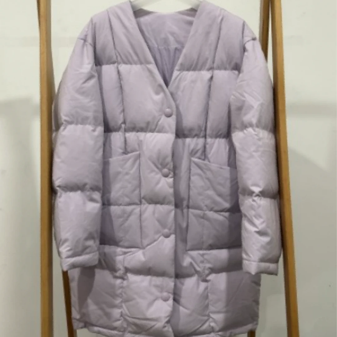 HPLY荷比俪22冬新款女羽绒服外套HVC46561017