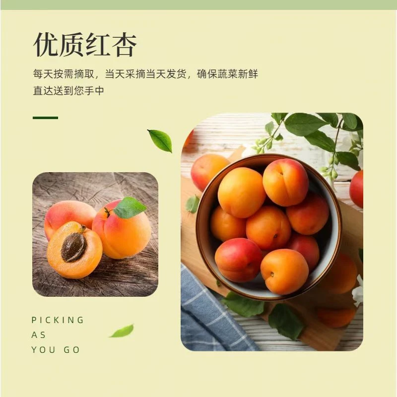 厂家直发优质红杏新鲜水果制作