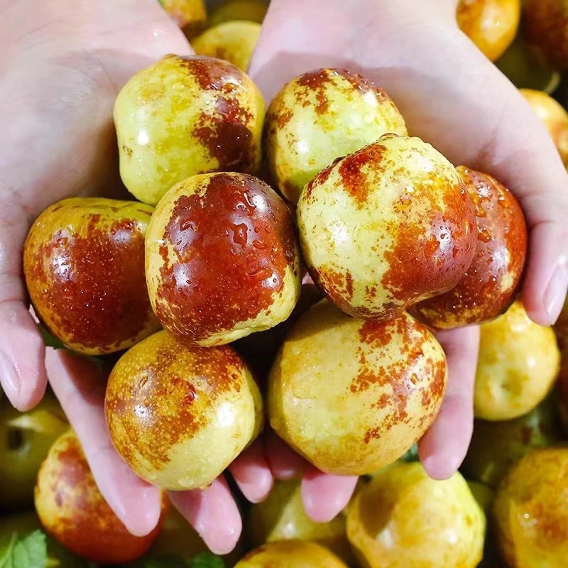 【果王】正宗沾化冬枣产地直发净重4.5斤脆甜多汁