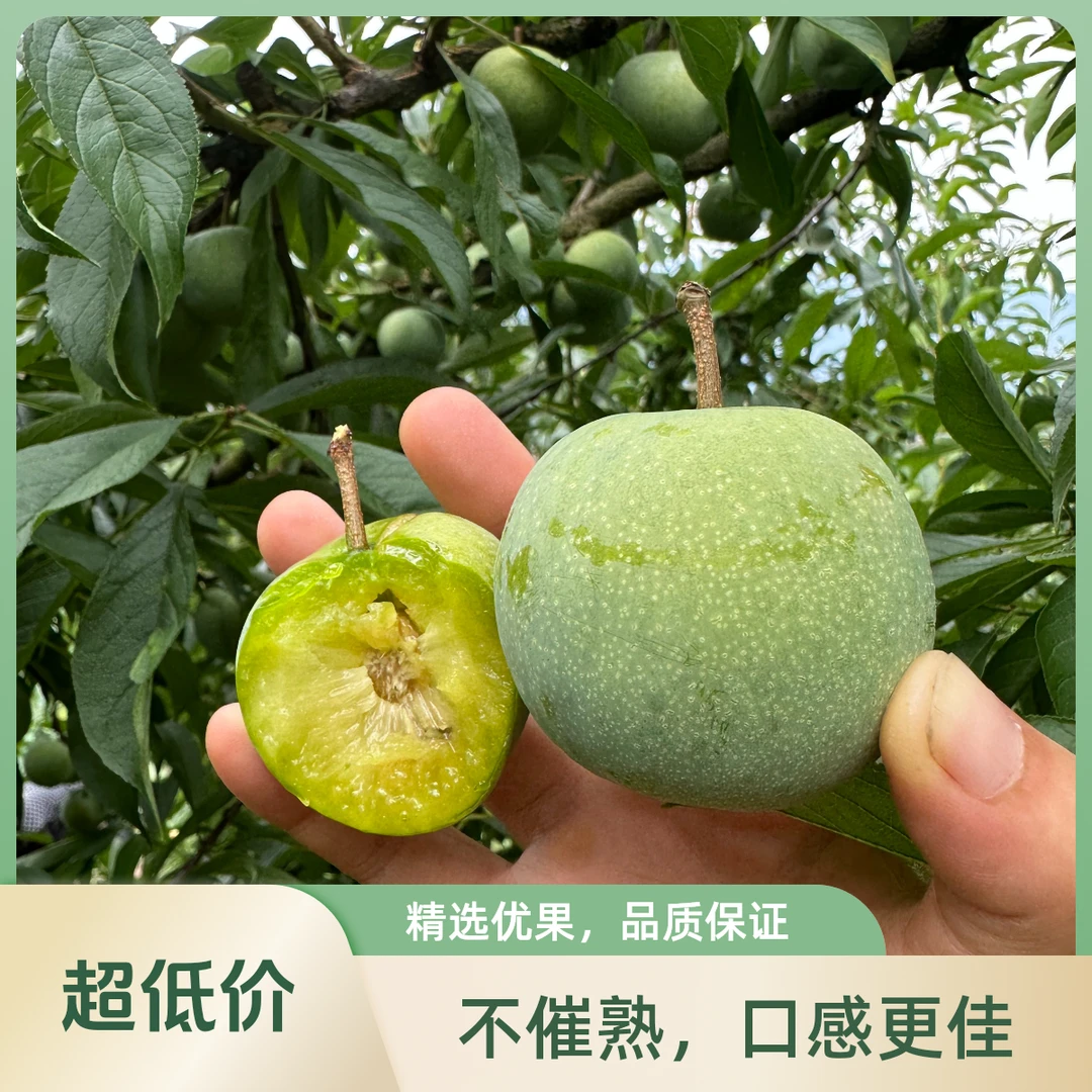 [京东专线]重庆巫山晚熟脆李李子空心脱骨个大新鲜应季水果包邮