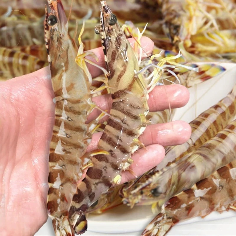 基围虾（鲜活）50克/份