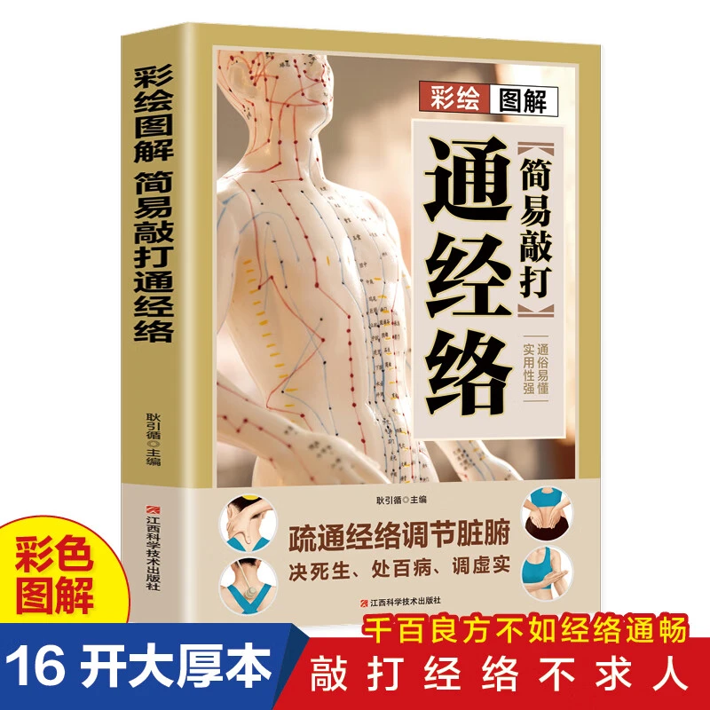 【华北仓专属】彩绘图解简易敲打通经络调节脏腑 经络穴