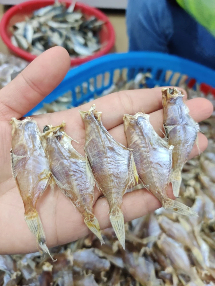 汕尾本港小剥皮鱼干 中号敌仔脯 淡口鲜甜好吃  人家晒