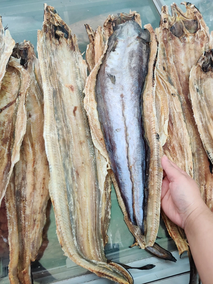 广东汕尾本港就船晒麻鱼脯 鳗鱼干 全淡足干香 1斤约2-3条