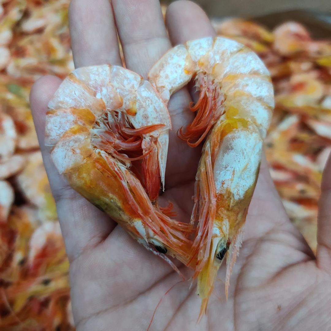 广东汕尾港海卢虾 活晒鲜甜 新鲜  有的带虾膏