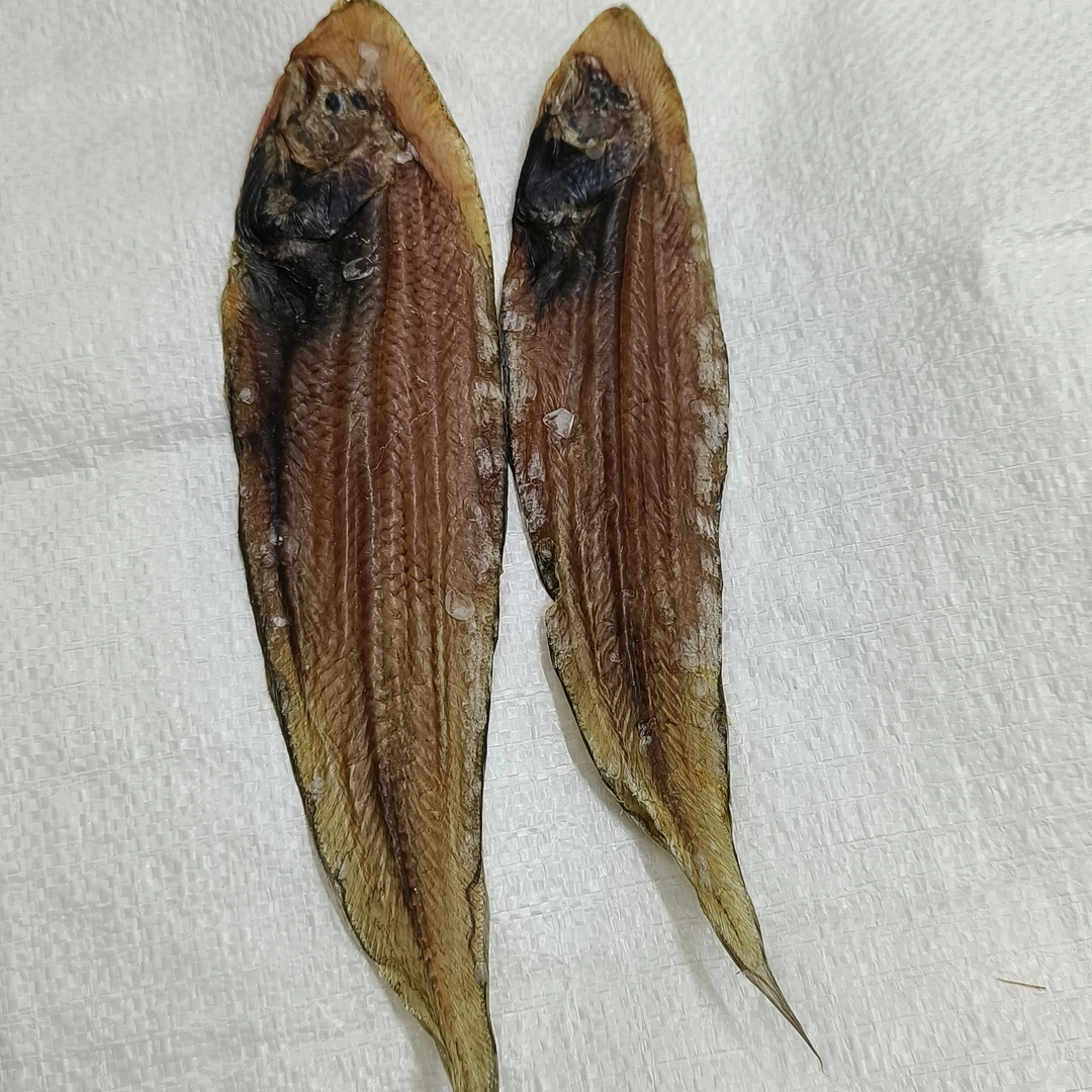 汕尾本港龙舌脯  龙利鱼干 微微咸  干度好 大条厚肉新鲜