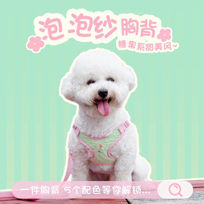 狗狗牵引绳背心式胸背带狗绳子泰迪柯基中小型犬遛狗牵引绳外出