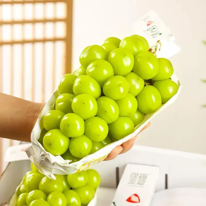 阳光玫瑰 大颗粒果青提晴王新鲜水果饱满无籽包赔带箱5斤顺丰包邮