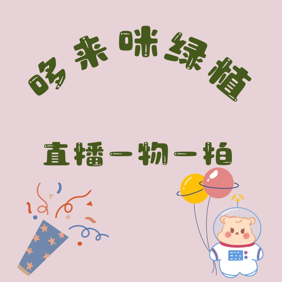 哆来咪花卉 绿植热植直播间一物一拍 轻微叶损不售后