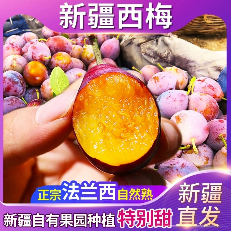 伽师法兰西新梅新疆西梅鲜果 16-25g 京东空运（西安仓发货）新鲜
