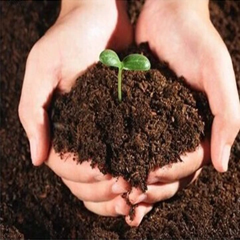 营养土养花通用型土壤种植花土家用种菜有机土植物盆栽多肉土专用