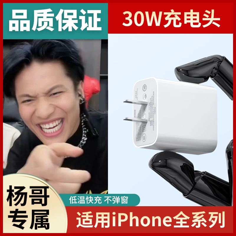 PD30W充电器9适用iPhone手机15promax正品苹果12plus快充头11套装