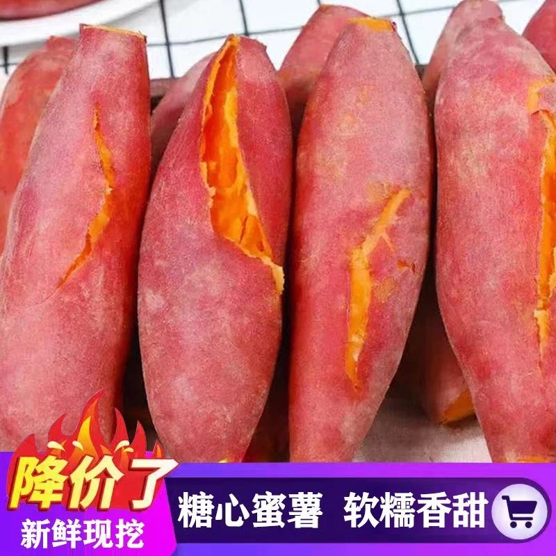 【抢购中】超甜正宗蜜薯1/9斤新鲜板栗薯红蜜薯地瓜番薯蔬菜烟薯