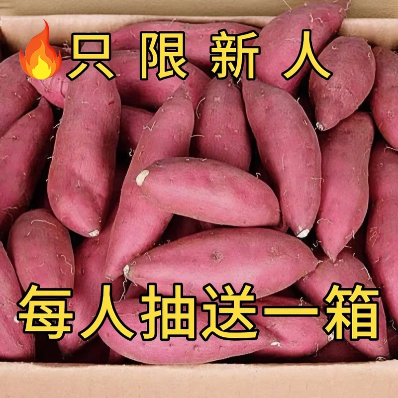 【抢购中】超甜沙地蜜薯1-9斤新鲜红薯地瓜番薯黄心板栗薯烟薯蔬