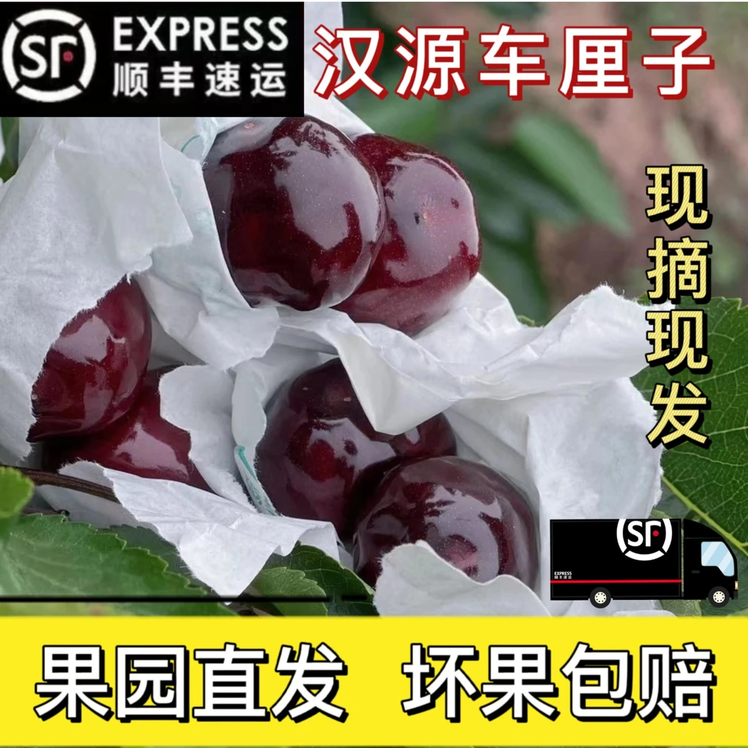 汉源大樱桃 新鲜水果套袋黑珍珠（非脆甜口感的）应当季车厘子