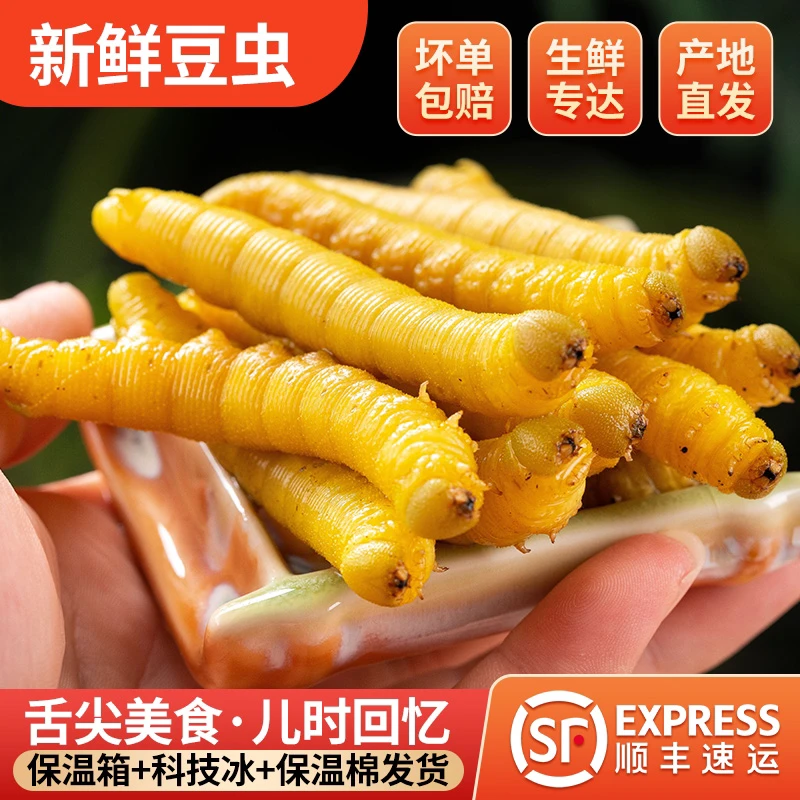 新鲜冷冻大豆虫野生高蛋白精选豆丹豆青虫可烧烤可炸串山东特产