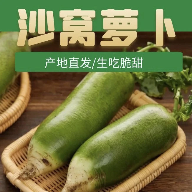 天津沙窝萝卜生吃脆甜口感现拔现发净重5斤±2两天津正宗沙窝萝卜
