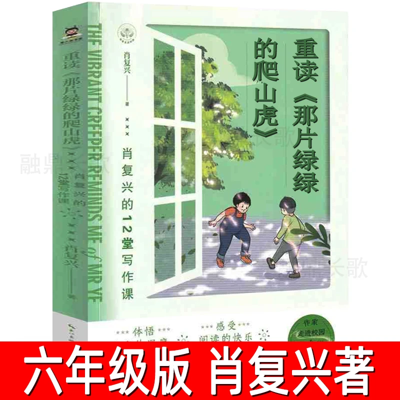 重读《那片绿绿的爬山虎》肖复兴的12堂写作课小学生三四五六年级课