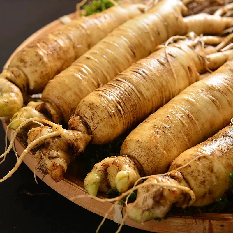 焦焦优选长白山人参