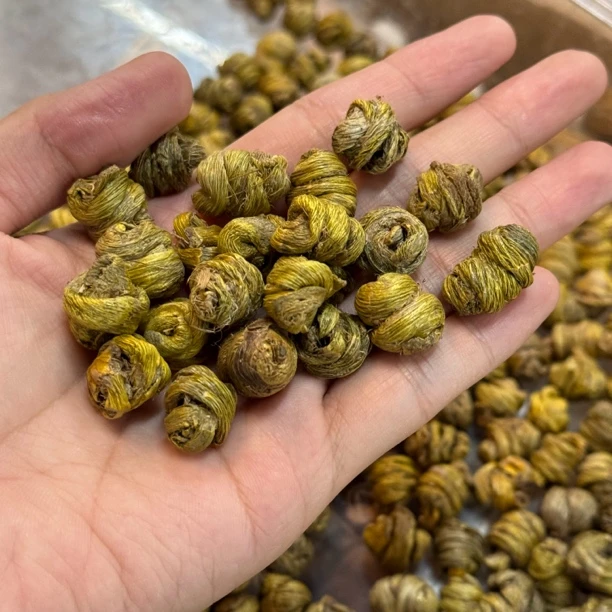 铁皮石角斗 胶质满满