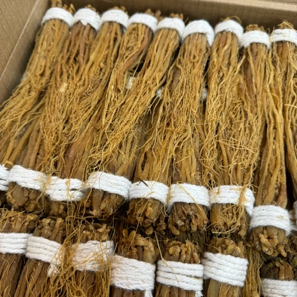 红参须原条 整条煲汤煲水