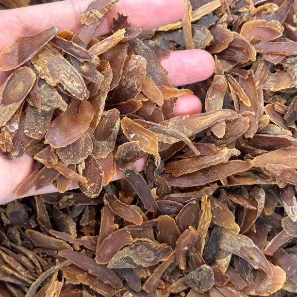 【大海货】高丽参片体验装
