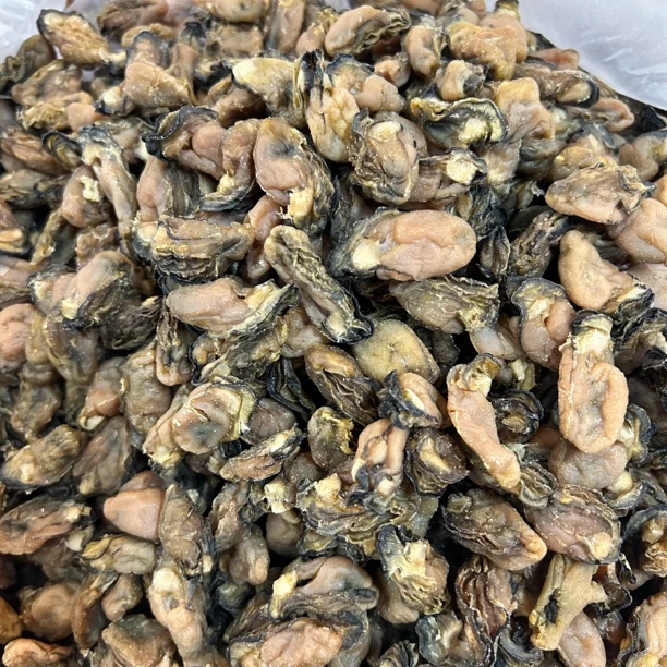 【大海货】生晒蚝豉干