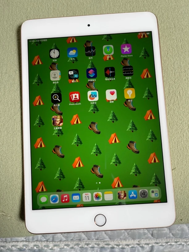 90新 Apple/苹果 Ipadmini5 第5代  64G 无拆无修 细微亮斑