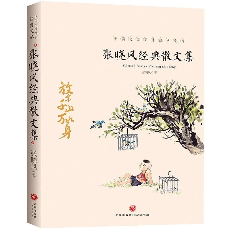 正版 张晓风经典散文集 中国文学大师经典文库 中小学生课外阅读