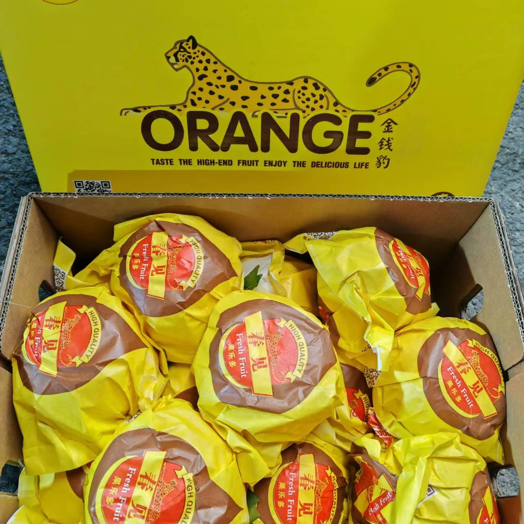 N【原箱】新到的金钱豹耙耙柑大果黄色礼盒（箱/带箱8.5斤左右）