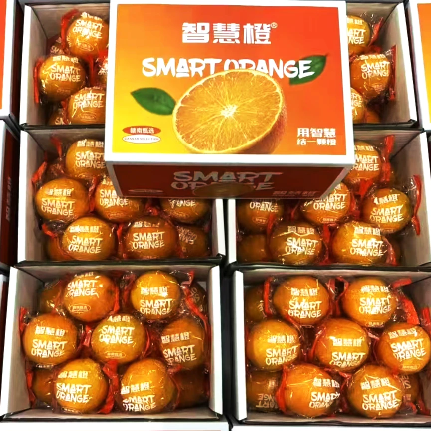 Z【原箱】【新到好吃的智慧橙】(带箱10斤左右)仅限太原六城区榆次可